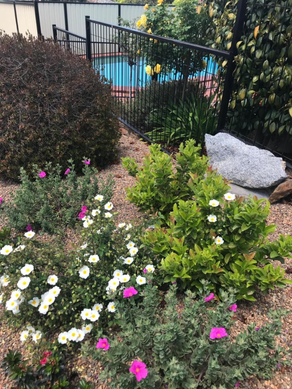 Hideaway Motor Inn Armidale Εξωτερικό φωτογραφία